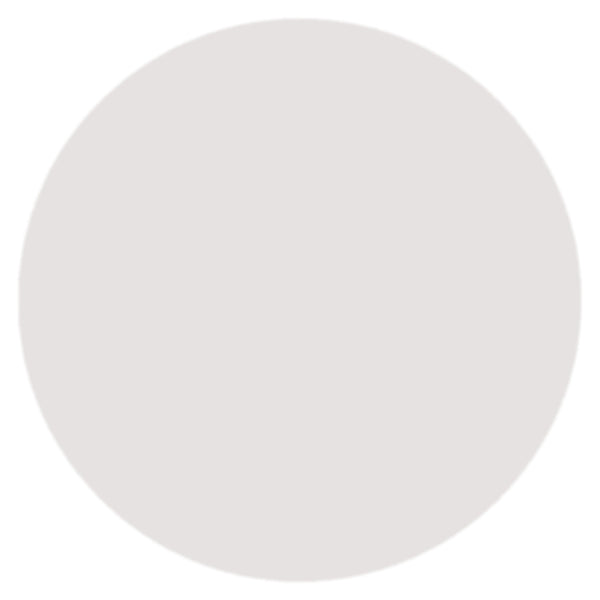 Round Acrylic Base 10cm 10pcs (Clear)