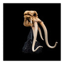 The Lord of the Rings Skull of A Mumak SDCC 2025 Mini Statue