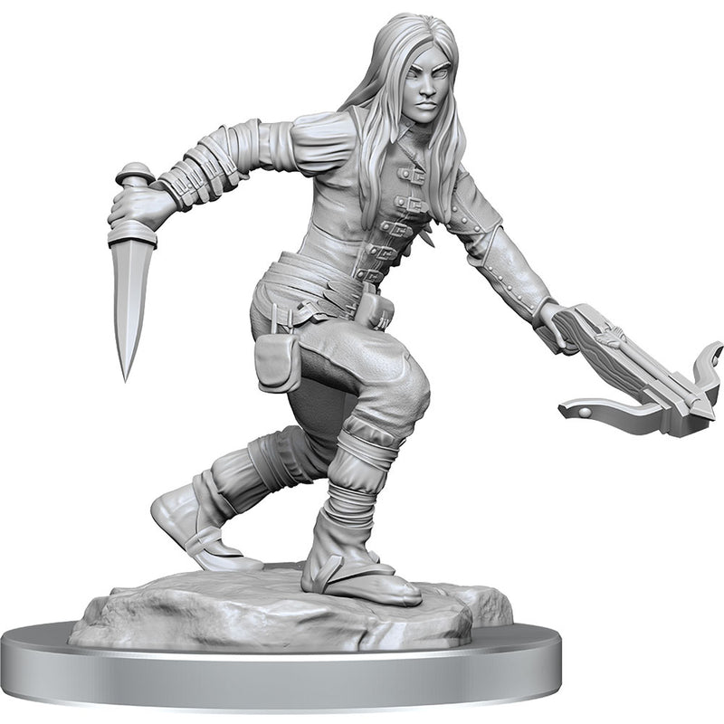 D & D Nolzurs Marvelous Elf Rogue Miniaturure