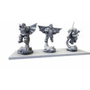 Kings of War Ej Grenadiers Regiment Miniature