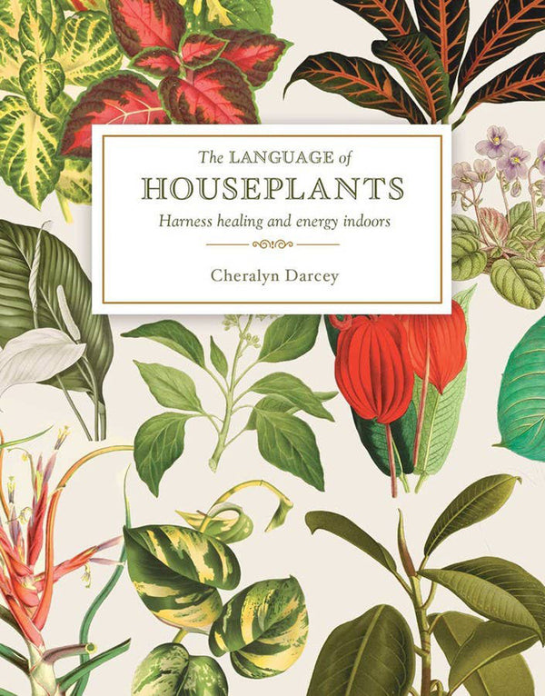 Language of Houseplants Book