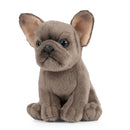 Living Nature French Bulldog Puppy