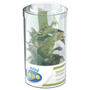 Papo mini plus dinosaurushahmot 6kpl