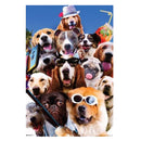 Zufälliges Galaxie-Poster