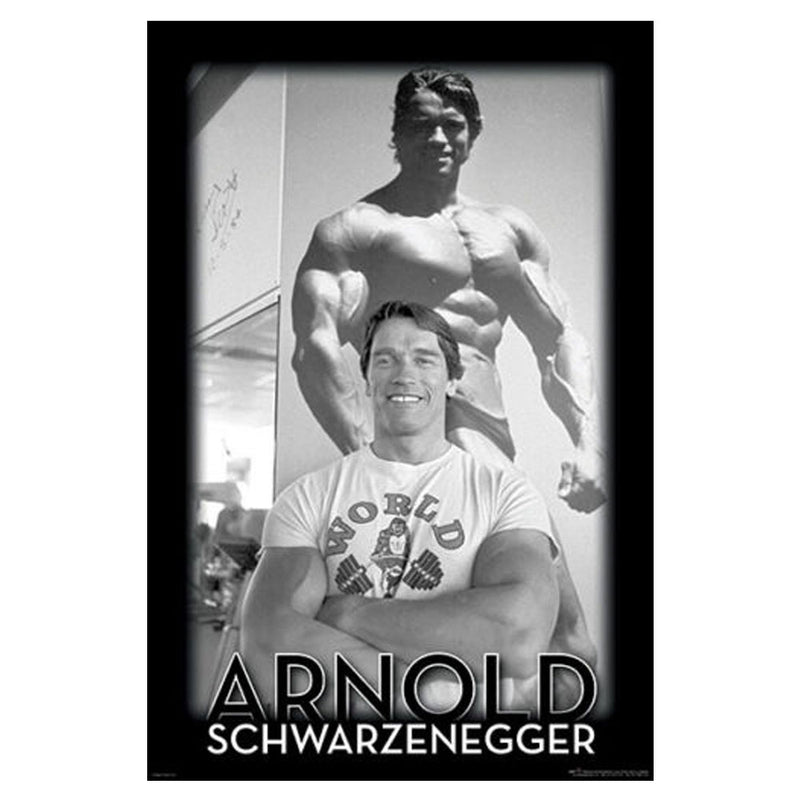 Arnold Schwarzenegger Poster