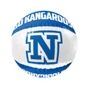 AFL Aufblasbarer Wasserball