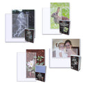 BCW Topload Holder Photo