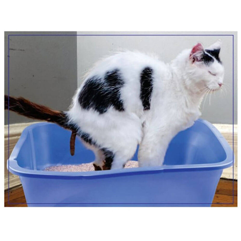 Doing Things Prank Puzzle 300tlg